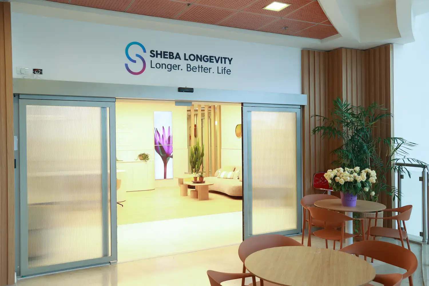 ЦЕНТРЫ ДОЛГОЛЕТИЯ ИЗРАИЛЯ